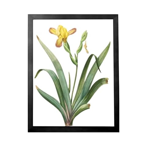 Rikyo A3 Poster Frame Cover