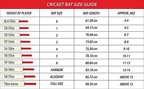 Image of Pro Play Cricket Bat Popular WillowFull Size with Bat Cover Play for Rubber Ball | Tennis Ball | Plastic Ball (D.S.C)