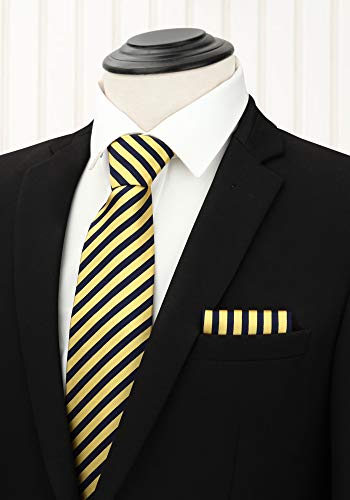 Image of HISDERN Mens Ties and Pocket Square Set Business Elegant Ties for Men Classic Lot 3 Pcs Wedding Party Neckties & Handkerchief