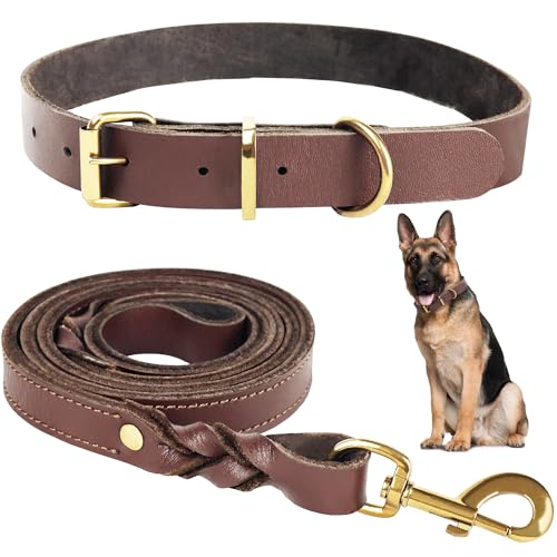 1,5 Meter Premium Leder Hundeleine und Halsband Set für stilvolle Hunde, weiches Lederhalsband und Starke doppelt geflochtene Leine, bequemes und sicheres Hundetraining, Spielen (Groß)