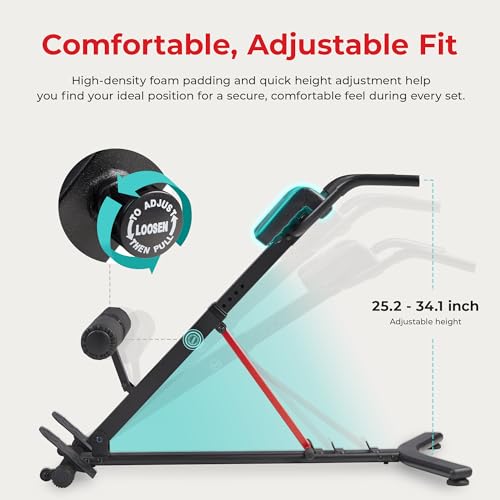 Image of Sunny Health & Fitness Foldable Roman Chair, Back Hyperextension Bench | Adjustable Height, Folds Flat for Storage, Built in Dip Station, Targets Back, Abs & Core, Crunches & Back Extensions
