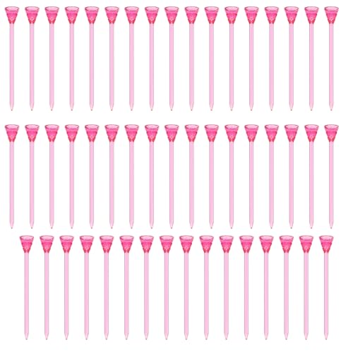 50 NASteB[{[X^hȂg[jOKCyTCh]StANZT[