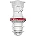 RAB Lighting EX124T-3/4 Explosionproof Outdoor Close to Ceiling