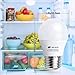 LED Refrigerator Light Bulb 4 Watt, Seealle Waterproof Freezer LED Light Bulbs, A15 E26 Medium Base Appliance Fridge Light Bulb, 40 Watt Equivalent 120V, Daylight White, Not-Dim (Pack of 2)