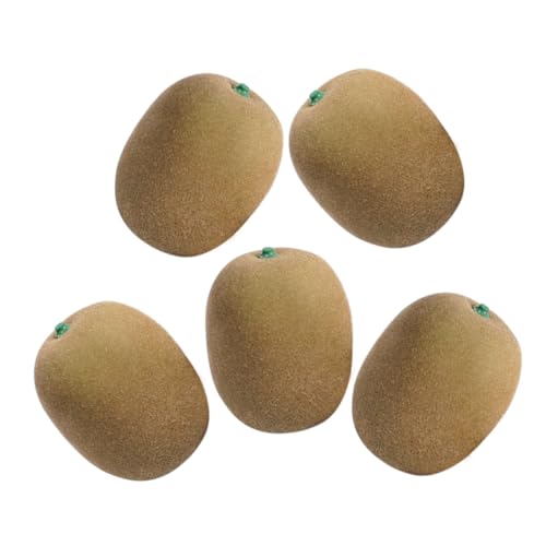 GLEAVI 5 Piezas Simulación Kiwifruit Artificial Decoración Realista para Restaurante Accesorio Fotográfico y Herramienta Educativa para Preescolar y Exhibiciones