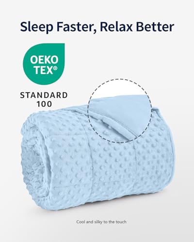 Image of Mr. Sandman Weighted Blanket for Adults, Minky Dots Heavy Blanket for Women, Man Sleeping and Calm, Soft and Cozy Cooling Weighted Throw Blankets, Machine Washable, 48 x 72in, 15 lbs, Light Blue
