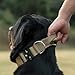 TSPRO Premium Hundehalsband mit Griff Dickes Verstellbares Taktisches Hundehalsband Schwere Ausführung Schnellverschluss Metallschnalle für Mittelgroße bis Große Hunde (Rot M)