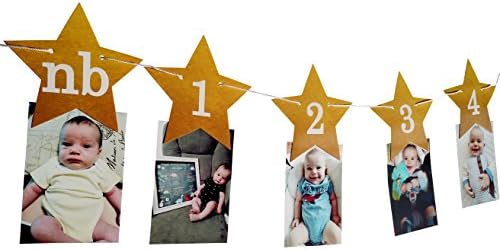 PinkFish Shop Twinkle Twinkle Little Star Monthly Photo Banner DIY - for Baby's 1st Birthday First Cake Smash (DIY)