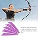PATIKIL Arrows Vanes, 50 Pack 3 Inch Archery Fletching Arrow Fletch Wing with Shied Cut for DIY Hunting Target Shooting, Purple