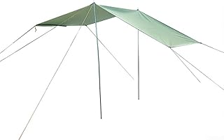 Toldo de techo de coche de diseño elegante, perfectamente adecuado para tu próximo viaje de camping (300 x 200 cm, azul)