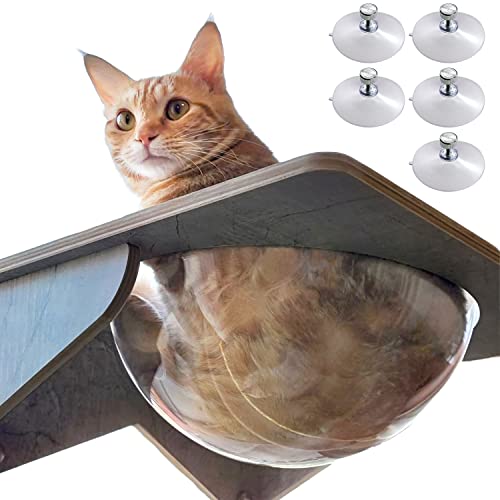 POOKIE L  nbN XPg xbh Lxbh FD Lbg^[ z t