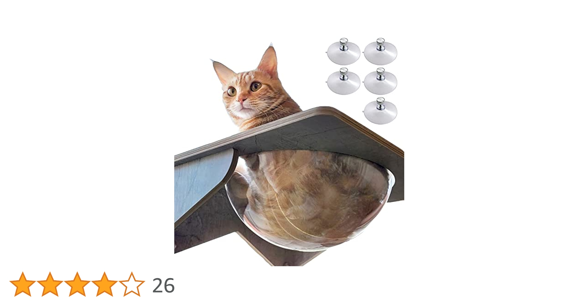 Amazon | POOKIE 猫 窓 ハンモック スケルトン 窓ベッド 猫