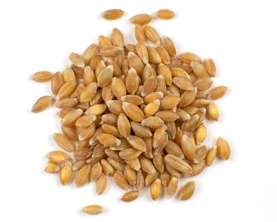 15 Lbs Whole Grain Ancient Einkorn Wheat Berries, Non-Gmo. Original And Non-Hybridized, Plastic-Free Packaging #TOP1