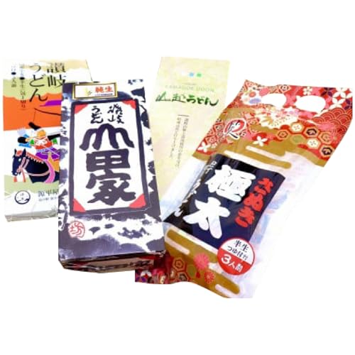 四国にぎわいネットワーク 「瀬戸・たかまつネットワーク」うどん県のうどん食べ比べセット(瀬戸・高松広域連携中枢都市圏共通返礼品)うどん 讃岐うどん 山越うどん 藤井製麺 山田家純生讃岐うどん 石丸製麺 半生うどん 生うどん 食べ比べ セット