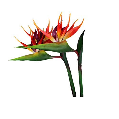 DODXIAOBEUL Large Bird of Paradise 32 Inch Permanent Flower,UV Resistant No Fade Flower Part is Made of Soft Rubber PU,Artificial Flower Plants for Home Office 2 Pcs (Orange red)