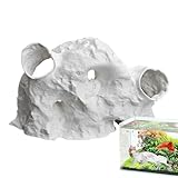 Túnel para Peces – Juguete Cueva para Peces Betta camarones | Refugio Decorativo para Juegos, Descanso en casa | para bagre Betta Enano cobite Agua y Marina