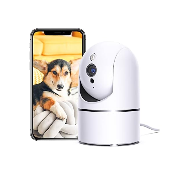 Get the Perfect View of Your Dog with the Best Pet Cameras!