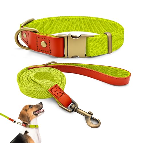 QRDA - Collare e guinzaglio per cani, colore giallo fluorescente, personalizzato, cintura tattica regolabile, per cani di piccola taglia media
