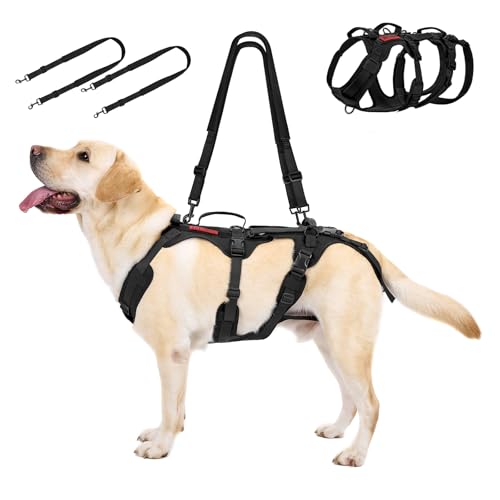 OneTigris Pettorina per cani Taglia Grande, Imbracatura di Sollevamento/Trasporto per Cani con 5 Ganci in Metallo, Con 3 Maniglie e 2 Spallacci Regolabili, imbracatura per Anziani, Disabili, m, nero