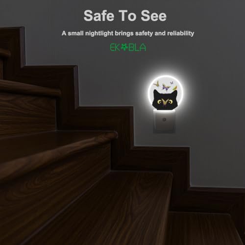 Image of EKOBLA Cat and Butterfly Night Light, Butterfly on Kitten Nose Cute Night Lights Plug Into Wall with Dusk to Dawn Sensor for Kids Room