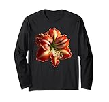 Stylish Amaryllis Flower Shapes Mania