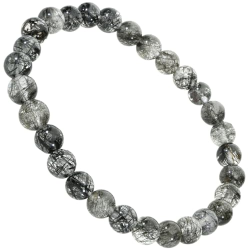 [Vh̑] ubN`NH[c uXbg 6.3mm 17cm fB[X M TCY ^  ubN  VR p[Xg[ r  