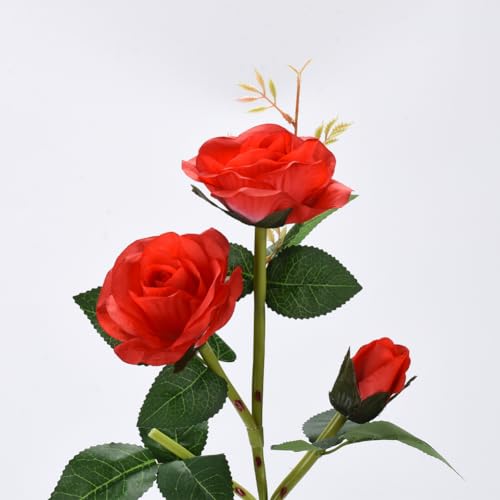 XhuangTech Solar Roses Flowers Lights Outdoor Garden Ornaments - Image 4