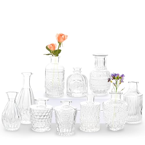 Set de 10 Mini Jarrones Florero, Pequeños Jarrones para Decoración de Mesa, Jarrones de Vidrio Vintage, para Regalo del Día de la Madre, Decoraciones de Boda y Decoración de Salón