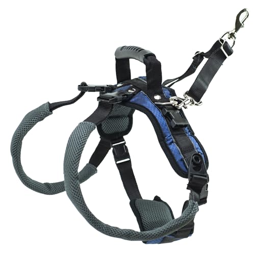 PetSafe Carelift, hinteres Unterstützungsgeschirr, Hebehilfe mit Griff und Schultergurt, geeignet für behinderte oder ältere Hunde, komfortabel, atmungsaktiv, einfach verstellbar, L