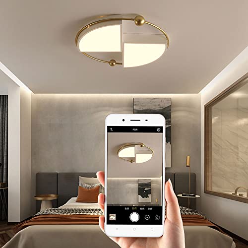 Plafonnier moderne LED en acrylique pour sublimer le design d'un bureau