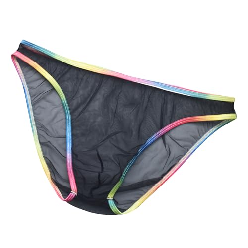 Mens Sexy See Through Briefs Rainbow Gay Pride Lingerie for Men Mesh Sheer Underwear Naughty Panties