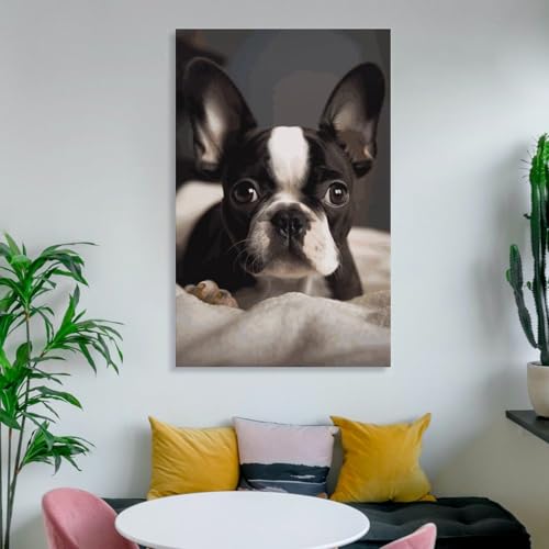 Tableau Boston Terrier décoration esthétique de chambre à coucher