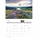 Carousel Worldwide, Derbyshire 2026 A4 Wall Calendar