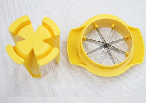 Primi Lemon lime affettatrice food drink tea