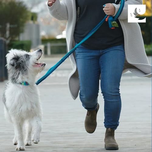 Image of RC Pets P.U.P Bag, Dog Poop Bag Holder with Leash Attachment (Pallette)