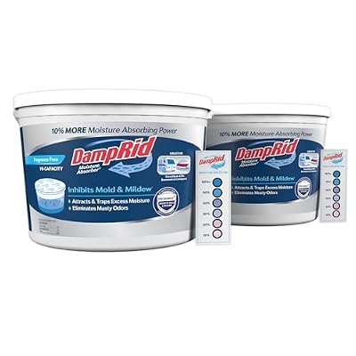 DampRid for the Garage: Buckets, Refillables and Hanging Absorbers