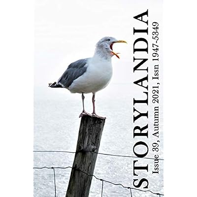 Storylandia 39