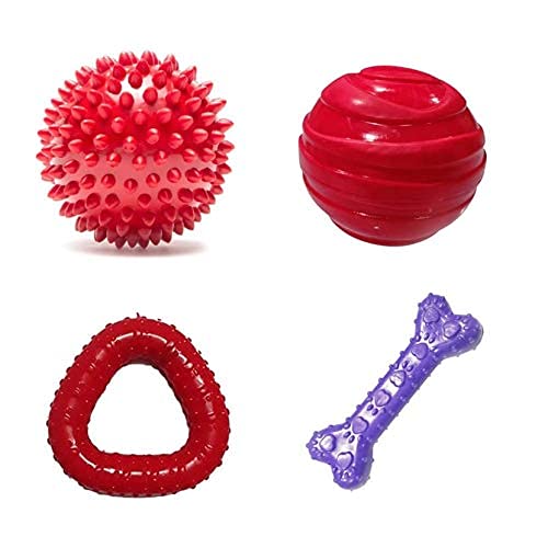 RvPaws Dog Rubber Chew Toy Combo (Flavored Bone + Red Ball + Spike Ball + Trio Chew) (B09DP24KFN) Amazon Price History, Amazon Price Tracker