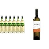Cuatro Rayas LAGARTIJO. Vino Blanco Verdejo D.O. Rueda - 6 Botellas x 750ml & Cuatro Rayas Vino Blanco Verdejo Vendimia Nocturna D.O. Rueda - Botella de 750 ml