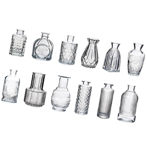 Vases à fleurs en verre transparent rétro soliflore pour mini décoration de table