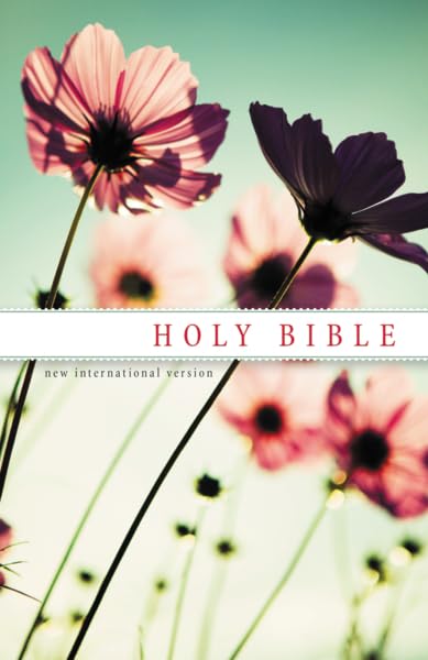NIV, Holy Bible, Paperback Paperback – Deluxe Edition, 26 August 2013