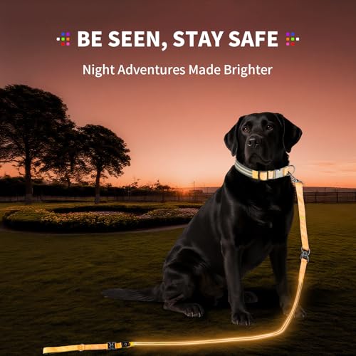 PetIsay Night Walking LED Dog Leash - 6FT Reflective & Waterproof Light Up Safety Leashes for Dogs - USB Rechargeable, Orange by PetIsay - Image 2