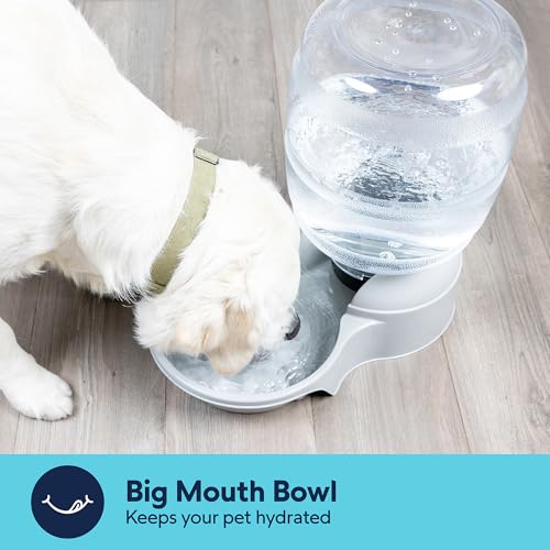 Image of Petmate Aspen Pet Lebistro Cat and Dog Water Dispenser, Made in USA