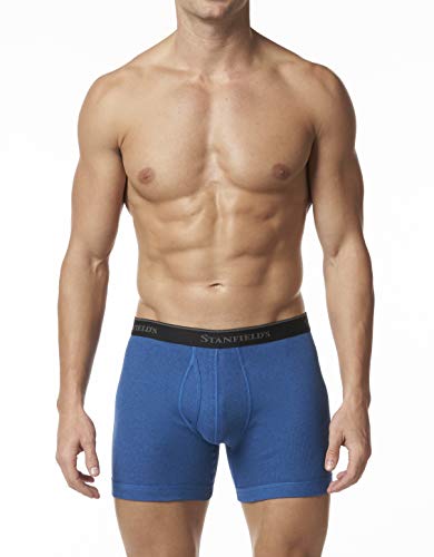 Stanfield's Men's Premium Cotton Modern Fit Low Rise Boxer Brief2