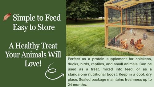 Image of kimoe Non-GMO Bulk Dried Mealworms 10LB Bag for Chickens, Ducks & Wild Birds - 100% Natural High-Protein Feed to Boost Egg Production, Feather Health & Immunity