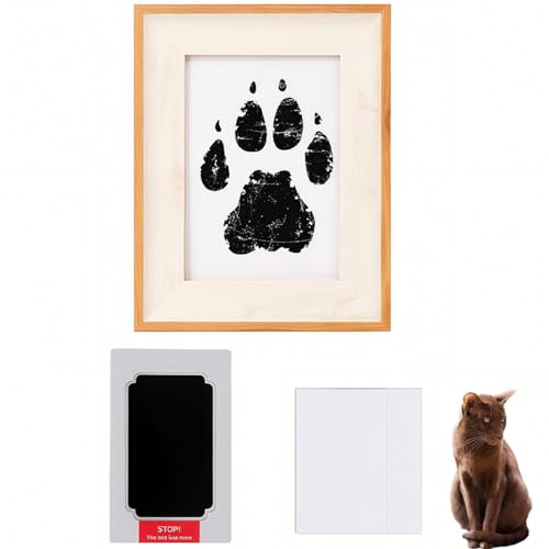 Lifetips noiEuE Havana Brown ybgp  X^v Lbg ^  ``X^v `쐬Lbg LO  Ȃ `    ` ^ ȒP S y Ճpbh IWi vg