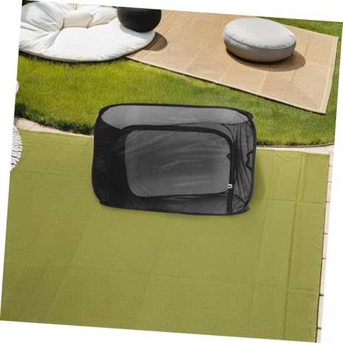 Habitat pour lépidoptères cage élevage insectes volants - 6