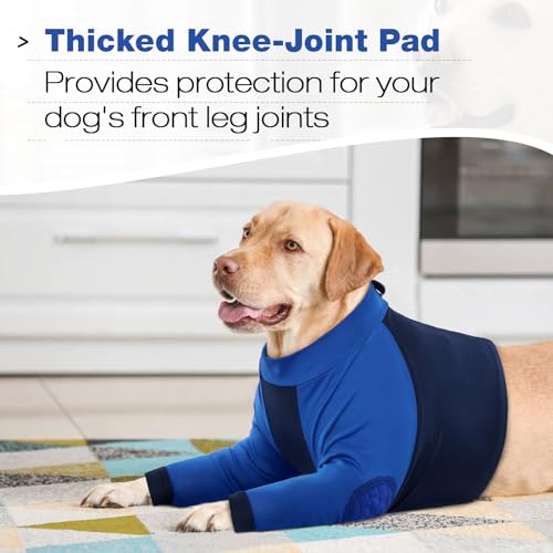 Coudières pour protéger les articulations du chien et manchon avant