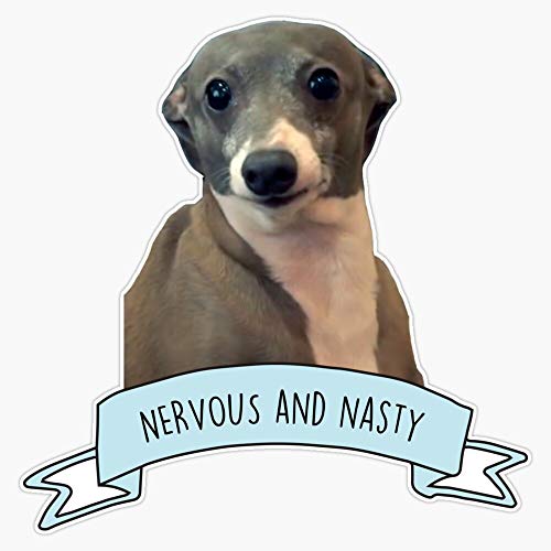 Kermit - Nervous And Nasty Vinyl Waterproof Sticker Decal Car Laptop Wall Window Bumper Sticker 5"
