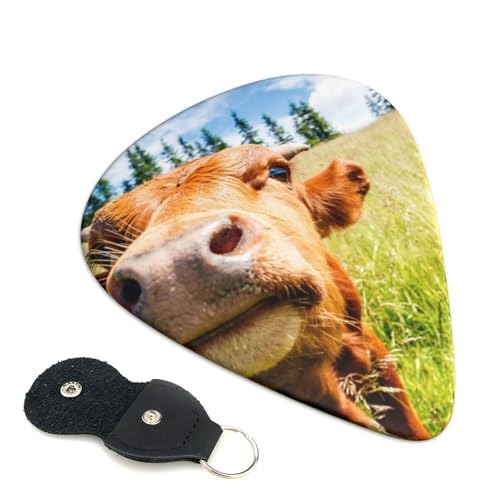 낢 3d  킢 킢GLM^[sbN Ajt@bVy S҃gCAOsbN 6 Zbg 0.46mm